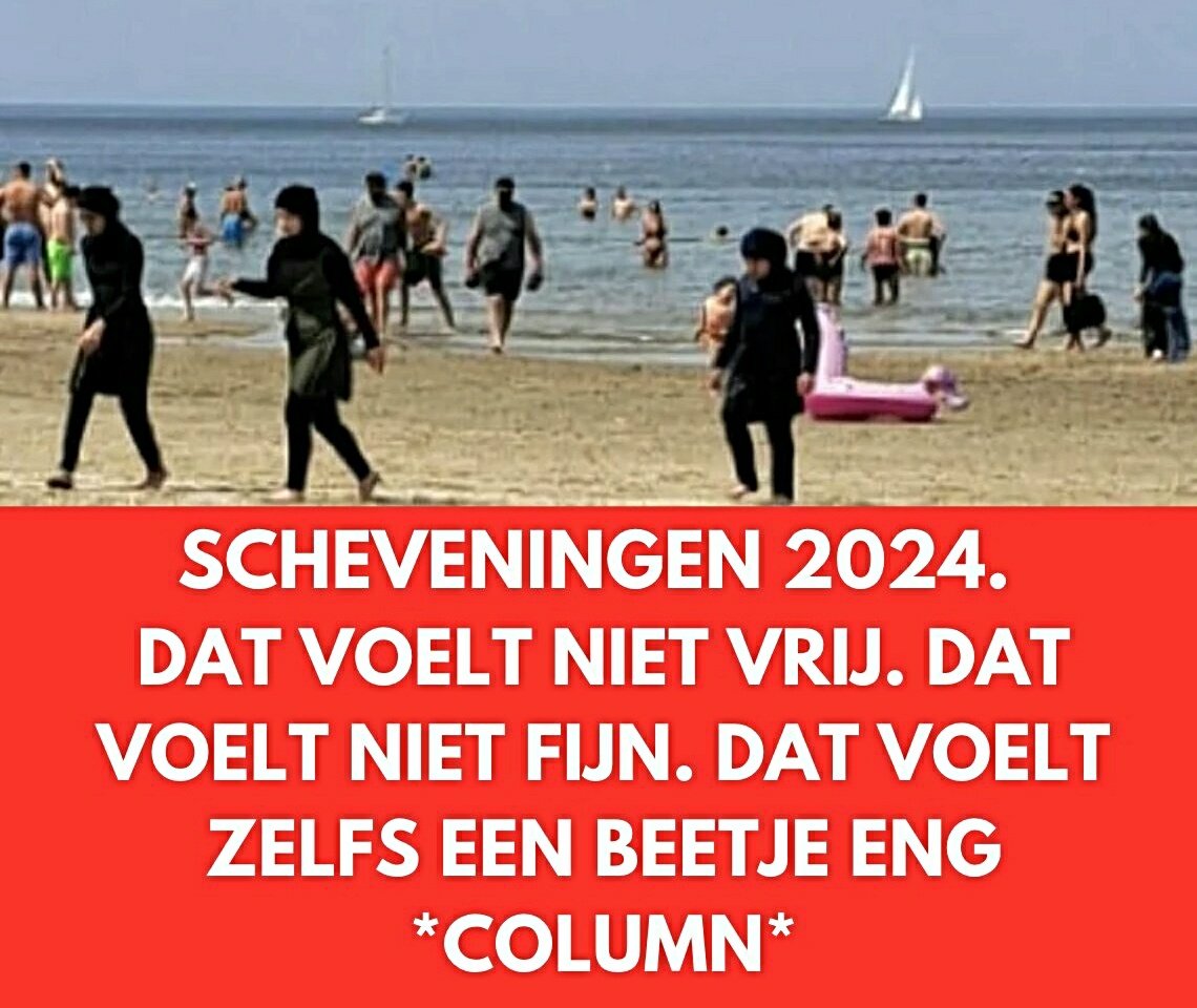 Alles wordt de brave Nederlander afgenomen: veiligheid, Zwarte Piet, Kerst, verzorgingsstaat, huizen, 4 mei en nu ook nog het strand. Het wordt hoog tijd  om het weer terug te veroveren. 
#Strand #asielzoekers #asielstop #joden #jodenhaat