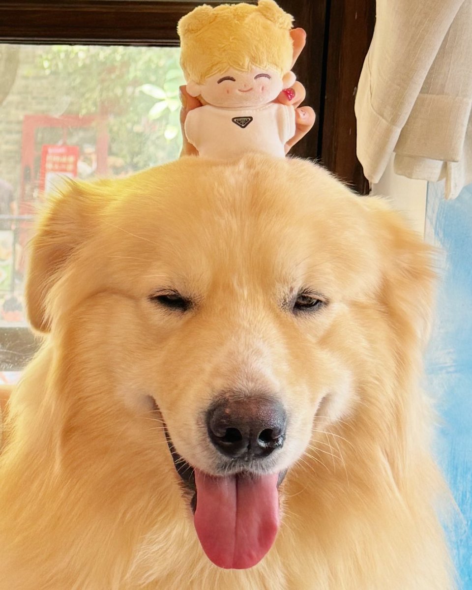 🐕 ²