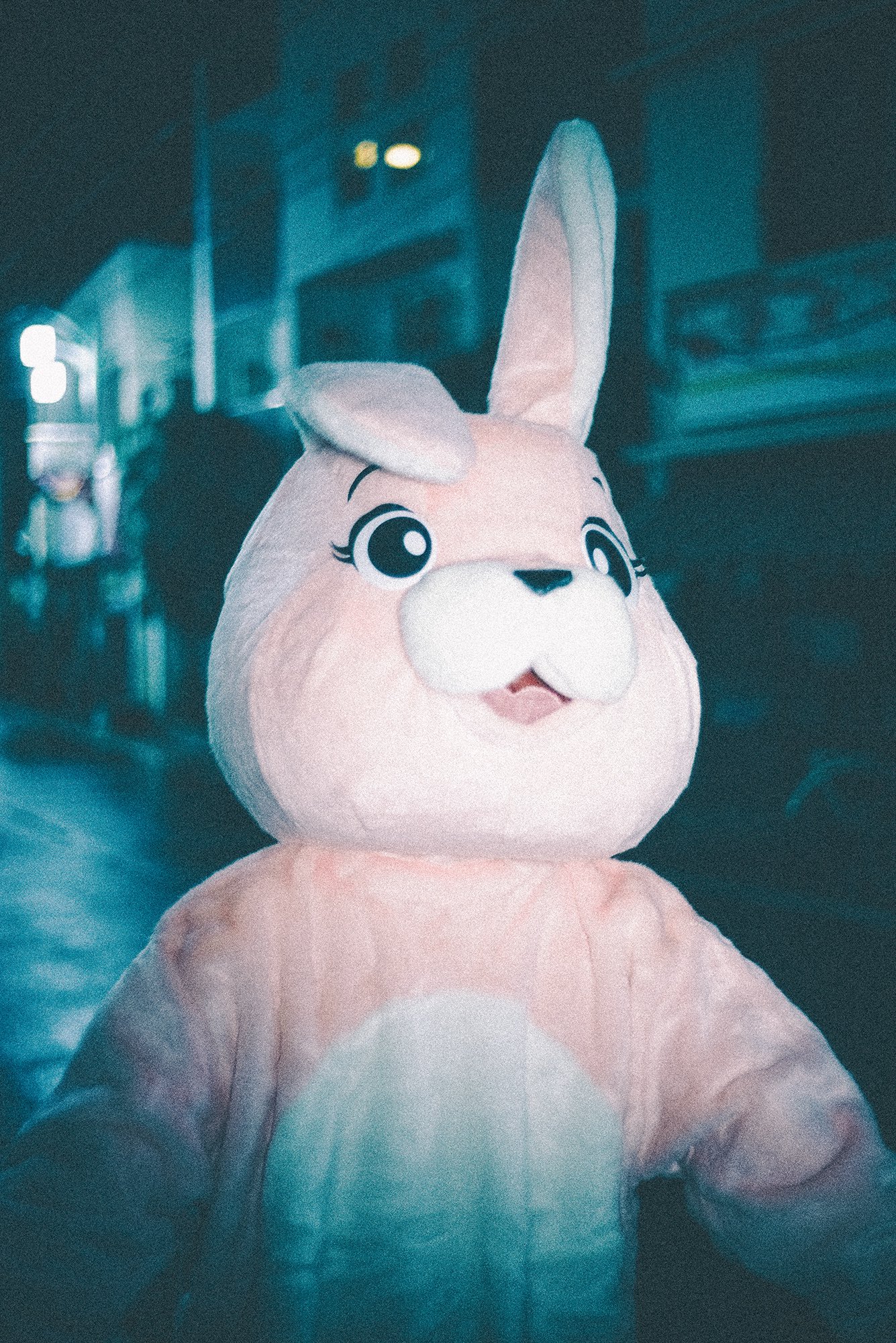 ピンクうさぎ (@kigurumi_usagi) / X