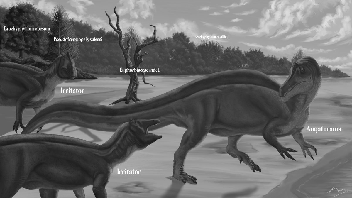 kadeauxmartins's tweet image. An angaturama being chased by a pair of irritators out of their territory.

#IrritatorBelongsToBR #decolonizescience