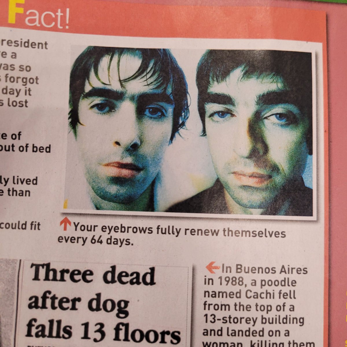 I'm in the hairdressers, reading ridiculous women's magazines.  I did not know this about eyebrows.