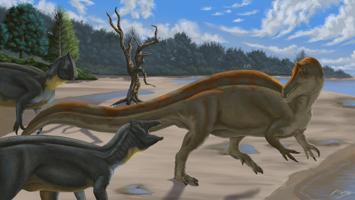 kadeauxmartins's tweet image. An angaturama being chased by a pair of irritators out of their territory.

#IrritatorBelongsToBR #decolonizescience