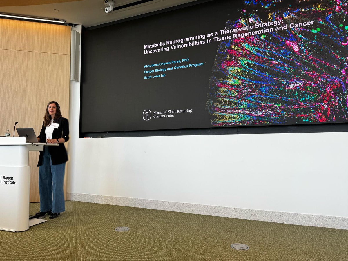 Almudena Chaves tweet media