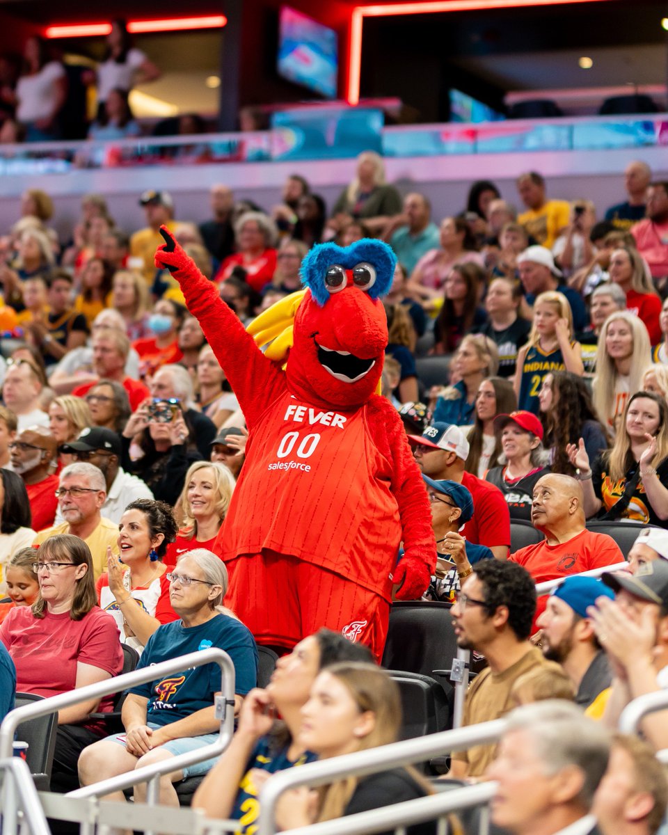 Freddy Fever (@freddyfever) on Twitter photo WE'RE SO BACK.
can't wait to see you all for preseason hoops at <a href="/GainbridgeFH/">Gainbridge Fieldhouse</a> today ❤️🔥 WE'RE SO BACK.
can't wait to see you all for preseason hoops at <a href="/GainbridgeFH/">Gainbridge Fieldhouse</a> today ❤️🔥