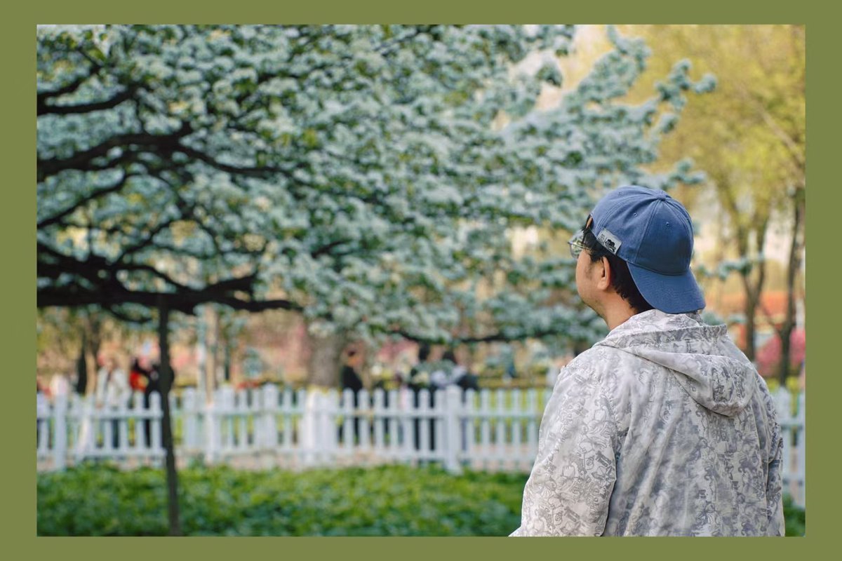 听说这颗梨树由张作霖所种，距今已有138岁高龄。

于1920年移栽至哈尔滨道外区古梨园。

我看着这颗老梨树在想，人类在自然面前真是不值一提。

人类的价值大多由社会所赋予，那么生命的价值是什么？生命对于宇宙的意义又是什么？