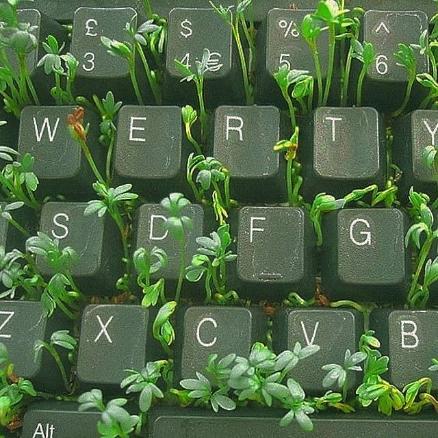 mecameor's tweet photo. ɢʀᴇᴇɴᴀsᴄᴀsᴇ𓂃 𓈒𓏸 https://t.co/v6HBTJBDd8