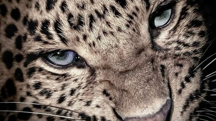 ᴄᴏᴍᴏ ᴀᴅᴇʟɢᴀᴢᴀʀ ᴛᴜ ᴄɪɴᴛᴜʀᴀ ᴇɴ 1-2 ꜱᴇᴍᴀɴᴀꜱ

                                    guía para emergencias o eventos 
                                    importantes

       ⋆˚꩜｡

#edtw #edtwtㅤ