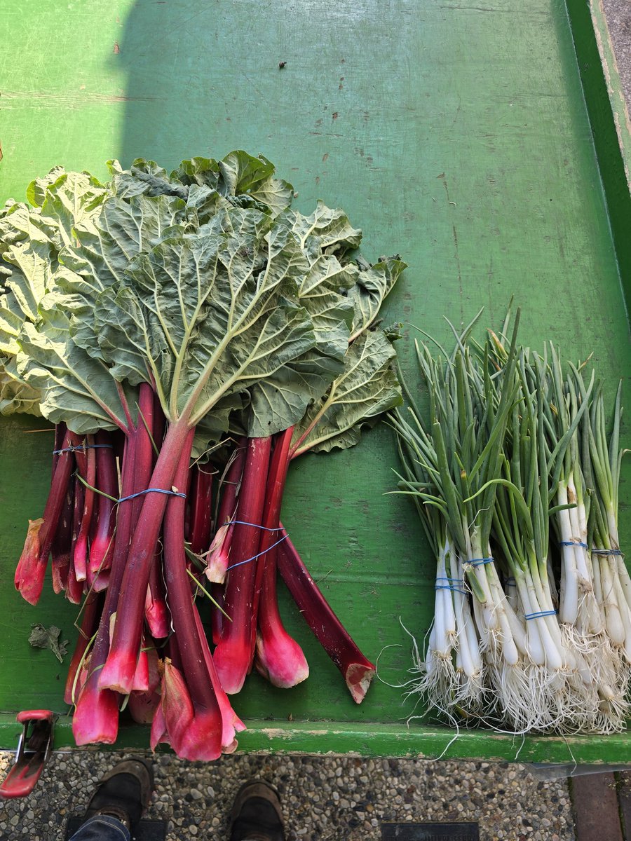 We've made it everyone to the first day of summer market season! To celebrate we have the first of our rhubarb, green onions and greenhouse tomatoes 😋. We also have a great selection of potatoes, carrots, onions and flowers.