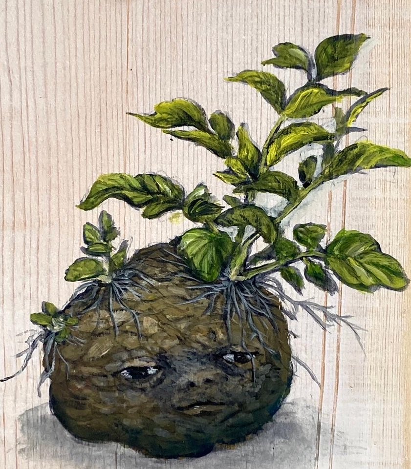 発芽シリーズ
『ジャガイモ』