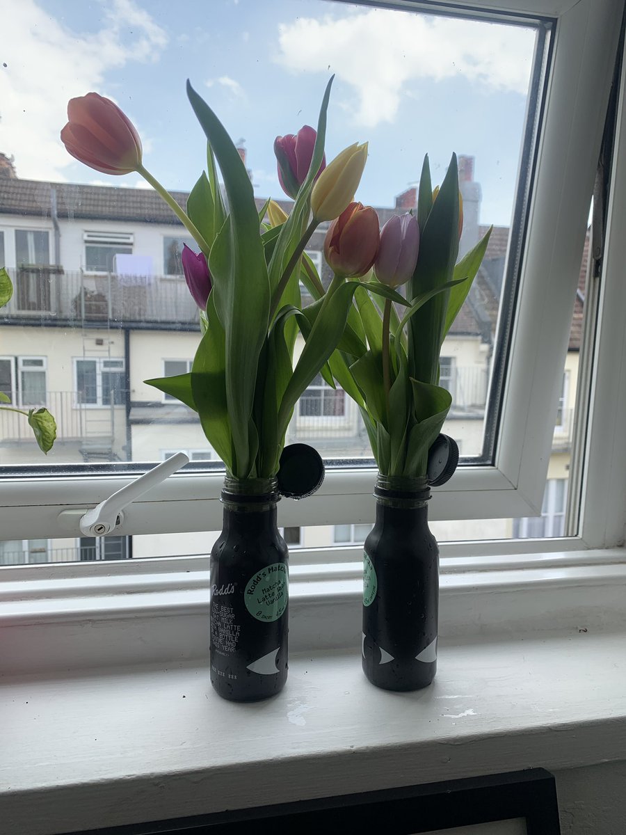 seemed wrong to throw out the rodds bottle so new flower pots???