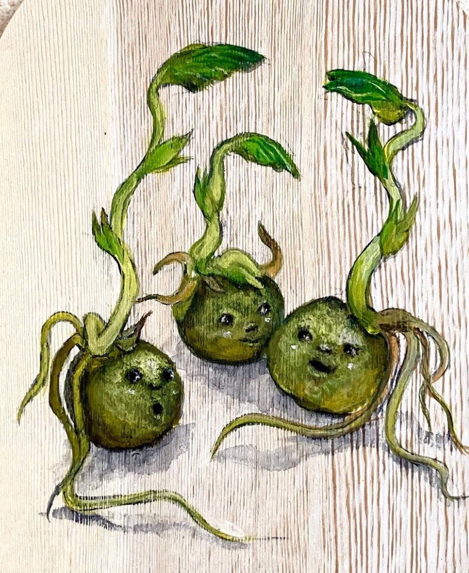 発芽シリーズ
『マメ』