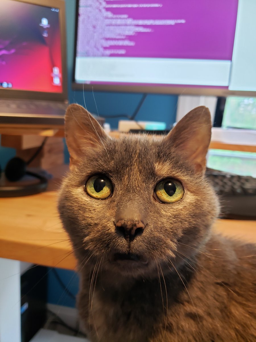 KarlsClipboard's tweet photo. Working with Isabel to upgrade Ubuntu 22.04 LTS to 24.04 LTS on StanLee. 162 GB rsync backup complete! 🖥️ #KarlsClipboard #Linux #SysAdmin https://t.co/966NAevnoQ