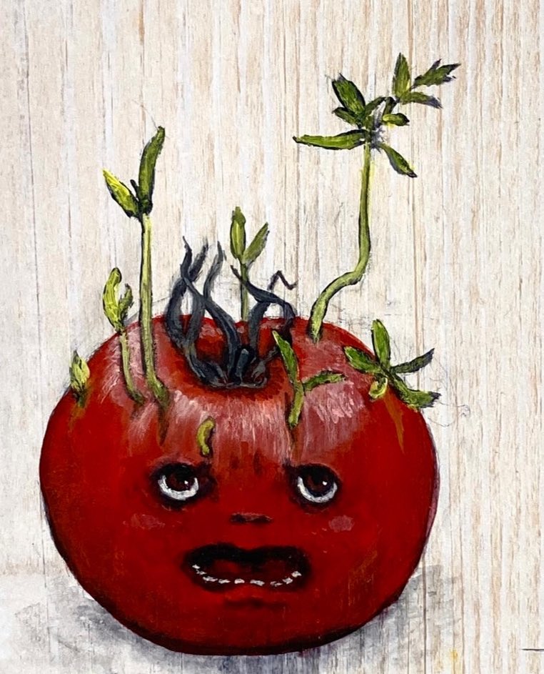 発芽シリーズ
『トマト』