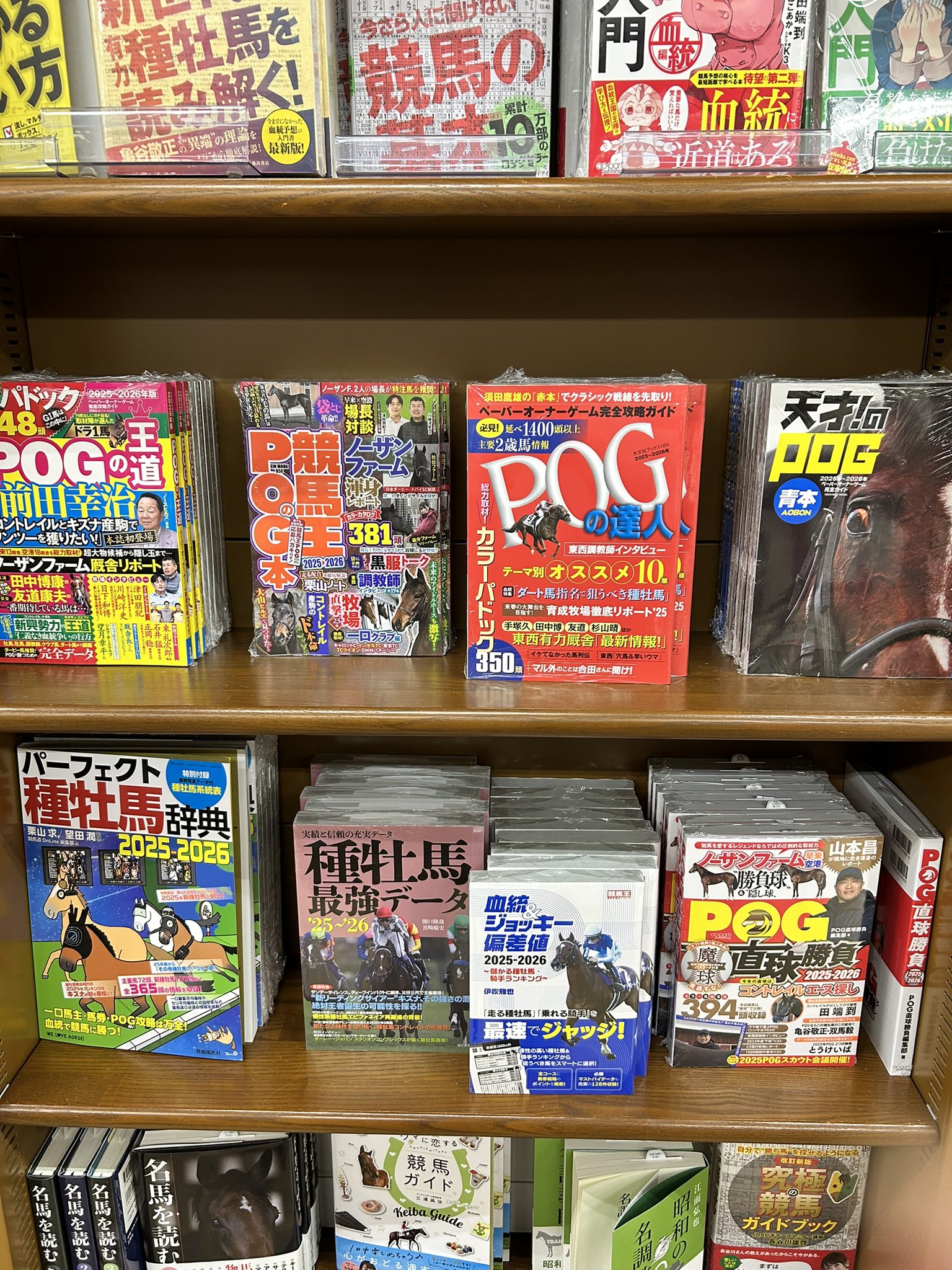 天才!のPOG青本2025-2026 ☆2025〜2026シーズンのPOG本 5