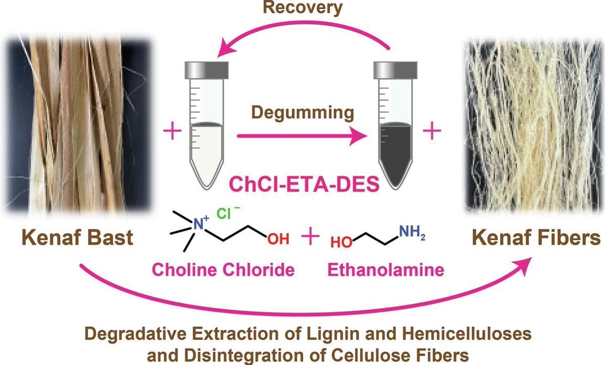 Yuki Tobimatsu (飛松裕基) (@tobimatsu_lab) on Twitter photo ありがとうございました😌
Song et al. A green degumming approach for lignocellulosic kenaf bast using ethanolamine deep eutectic solvent. International Journal of Biological Macromolecules, 311, 143717 (2025) doi.org/10.1016/j.ijbi… ありがとうございました😌
Song et al. A green degumming approach for lignocellulosic kenaf bast using ethanolamine deep eutectic solvent. International Journal of Biological Macromolecules, 311, 143717 (2025) doi.org/10.1016/j.ijbi…