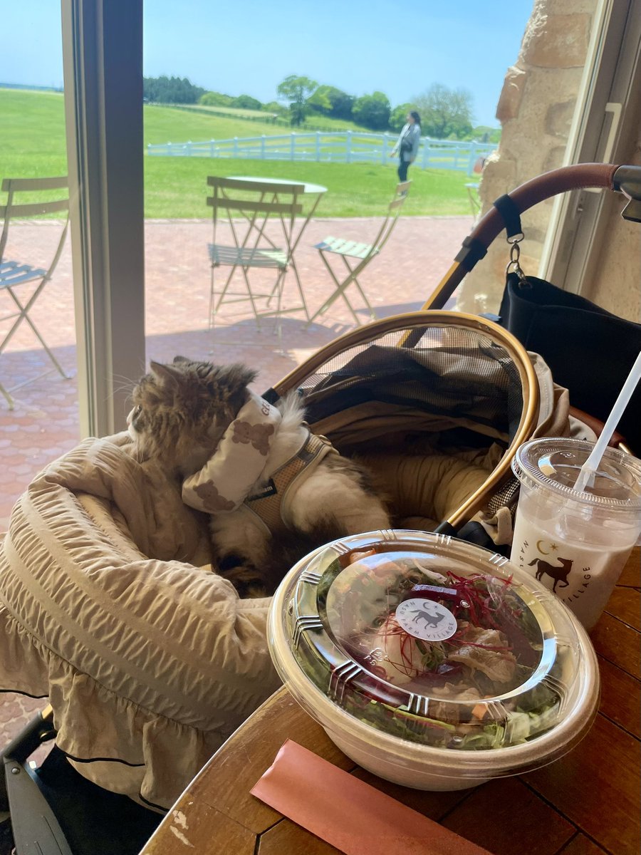k___m27y's tweet photo. 𝗡𝗔𝗦𝗨 𝗙𝗔𝗥𝗠 𝗩𝗜𝗟𝗟𝗔𝗚𝗘🐴🌳
ずっと気になっててやっと行けたファーム☀️🌈
天気も景色も最高に良かった☺️🌿 https://t.co/eU7ObZj28h