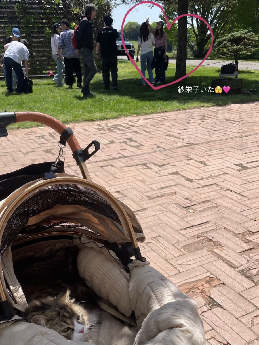 k___m27y's tweet photo. 𝗡𝗔𝗦𝗨 𝗙𝗔𝗥𝗠 𝗩𝗜𝗟𝗟𝗔𝗚𝗘🐴🌳
ずっと気になっててやっと行けたファーム☀️🌈
天気も景色も最高に良かった☺️🌿 https://t.co/eU7ObZj28h