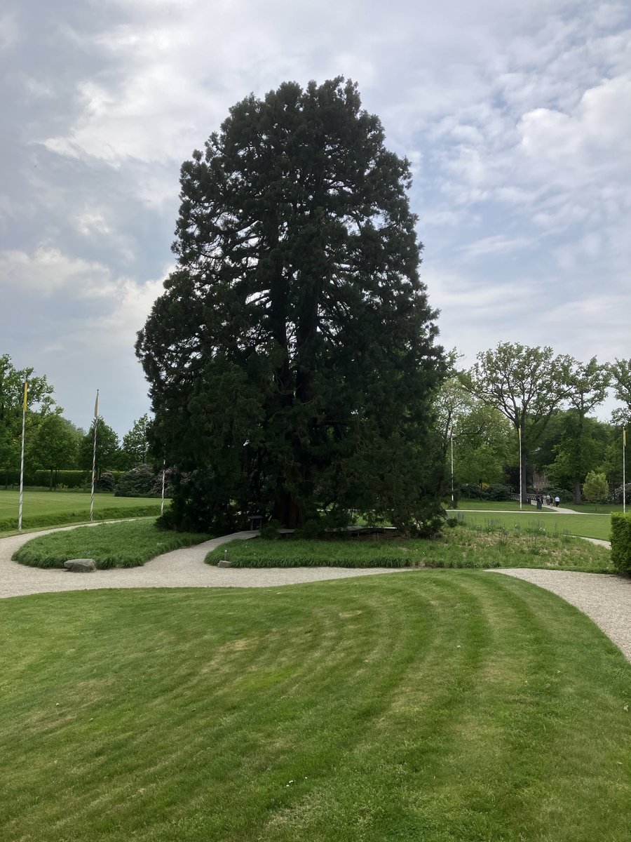 Kasteeltuinen ⁦<a href="/Limb_Landschap/">Het Limburgs Landschap</a>⁩ liggen er weer perfect bij!