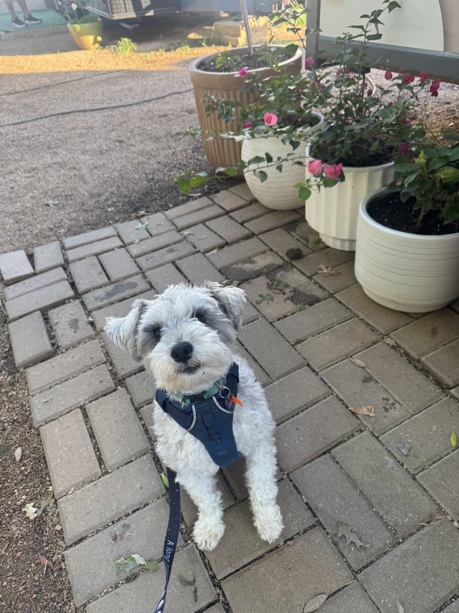 An absolutely beautiful morning for a trip to the taco truck! Have a great Saturday, y’all!