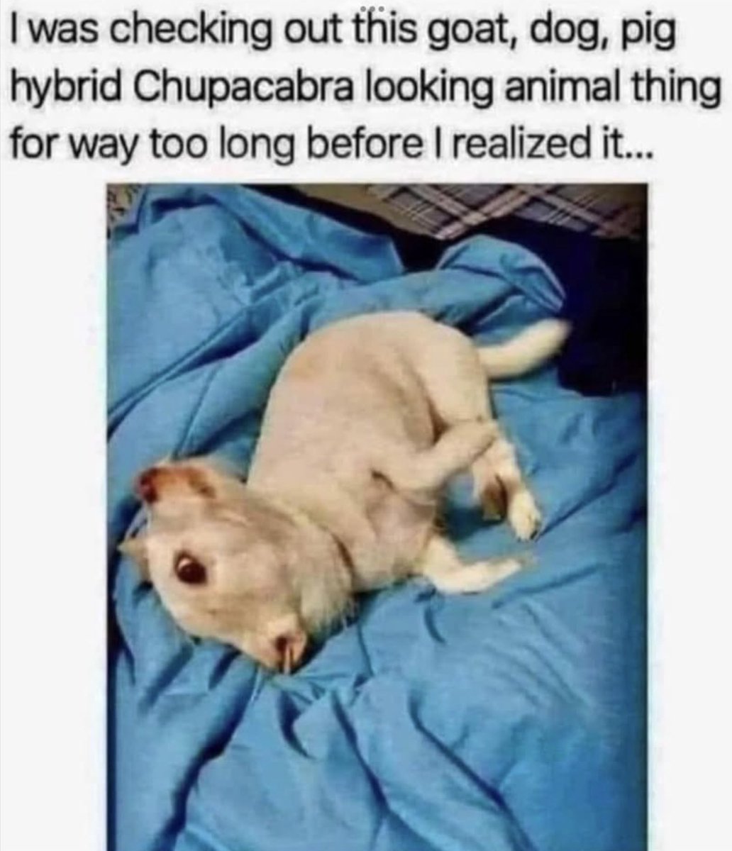🤪🤪👍🏻👍🏻🥃🥃