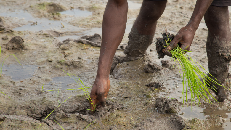 From Indonesia 🇮🇩 to Côte D’Ivoire 🇨🇮, <a href="/WorldBank/">World Bank</a> projects are securing land rights, digitizing land systems, and enabling access to land for women and infrastructure. Read VP <a href="/GuangzheChen/">Guangzhe Chen</a>’s insights: wrld.bg/T84R50VK0qR