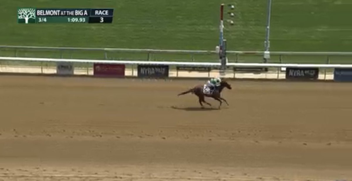 Jena Antonucci | Thoroughbred Trainer (@jenaantonucci) on Twitter photo Well that’s a first!! Literally!! Go Irish and <a href="/jockeykdavis/">Katie Davis McCarthy</a> win our first ever match race today in NY! Great job by Rocio leading the team in NY having a huge 2nd yesterday with Undisputed at 26-1 and a fun win today! Girl power kind of win!!! Elias Jovani Flores! Fiona Goodwin Well that’s a first!! Literally!! Go Irish and <a href="/jockeykdavis/">Katie Davis McCarthy</a> win our first ever match race today in NY! Great job by Rocio leading the team in NY having a huge 2nd yesterday with Undisputed at 26-1 and a fun win today! Girl power kind of win!!! Elias Jovani Flores! Fiona Goodwin