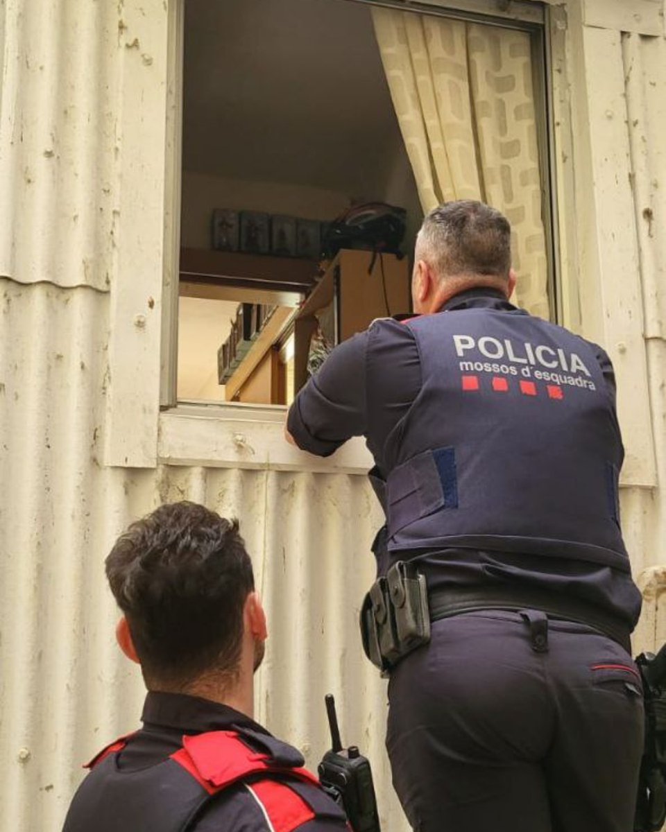 Mossos tweet media