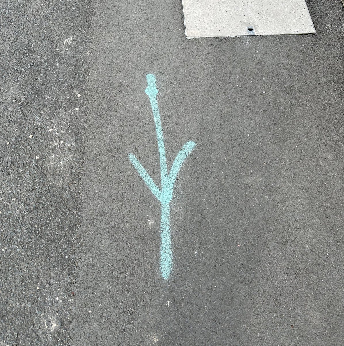 Wow, must’ve been a big bird to leave a print that size.