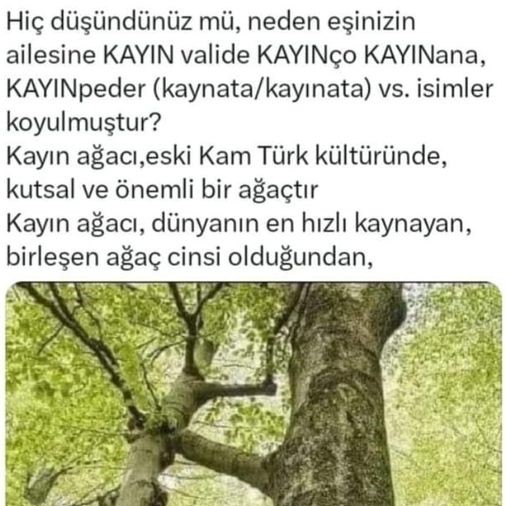 sevgi bir (@cix1825) on Twitter photo hadi <a href="/emineipk78/">Emine ipek 🟢 🇹🇷🇵🇸</a>
<a href="/ahdes98/">Abdurrahman 🇹🇷🇹🇷🇹🇷</a>
<a href="/siribo2/">Ben ve Oğlum 🇹🇷🤘🇹🇷</a>
@A_n_s_z1211
<a href="/Trbz29/">KUZEY</a>
<a href="/alaattinsen52/">Alaattin Şen</a>
<a href="/hakk72840750/">İ.hakkı</a>
<a href="/ismetvural1453/">Zilan 1930</a>
<a href="/06melihgokcek/">İbrahim Melih Gökçek</a>
<a href="/muratsahin2023/">Murat Şahin</a>
<a href="/AHMETEHBEDRETT1/">AHMET ŞEYHBEDRETTİN🇹🇷</a>
<a href="/AyettHadissDua/">~Ruh-u Revan~🍉</a>
<a href="/saracihan611/">Cihan Saraç</a>
<a href="/harunarabaci2/">harunarabaci</a>
<a href="/harunarabacisg/">harunarabaciisg</a>
<a href="/cix1842/">hasret üç</a> <a href="/kcef79/">vuslat dört</a>
<a href="/thykenan/">yıldız beş</a> <a href="/CiftciRst6342/">Reşit 🇹🇷</a>
<a href="/smailHakkD85590/">Hakkı ism🇹🇷💙💛🇹🇷</a>
<a href="/2Papazi/">KONSTANTİN PAPAZI 2</a> hadi <a href="/emineipk78/">Emine ipek 🟢 🇹🇷🇵🇸</a>
<a href="/ahdes98/">Abdurrahman 🇹🇷🇹🇷🇹🇷</a>
<a href="/siribo2/">Ben ve Oğlum 🇹🇷🤘🇹🇷</a>
@A_n_s_z1211
<a href="/Trbz29/">KUZEY</a>
<a href="/alaattinsen52/">Alaattin Şen</a>
<a href="/hakk72840750/">İ.hakkı</a>
<a href="/ismetvural1453/">Zilan 1930</a>
<a href="/06melihgokcek/">İbrahim Melih Gökçek</a>
<a href="/muratsahin2023/">Murat Şahin</a>
<a href="/AHMETEHBEDRETT1/">AHMET ŞEYHBEDRETTİN🇹🇷</a>
<a href="/AyettHadissDua/">~Ruh-u Revan~🍉</a>
<a href="/saracihan611/">Cihan Saraç</a>
<a href="/harunarabaci2/">harunarabaci</a>
<a href="/harunarabacisg/">harunarabaciisg</a>
<a href="/cix1842/">hasret üç</a> <a href="/kcef79/">vuslat dört</a>
<a href="/thykenan/">yıldız beş</a> <a href="/CiftciRst6342/">Reşit 🇹🇷</a>
<a href="/smailHakkD85590/">Hakkı ism🇹🇷💙💛🇹🇷</a>
<a href="/2Papazi/">KONSTANTİN PAPAZI 2</a>