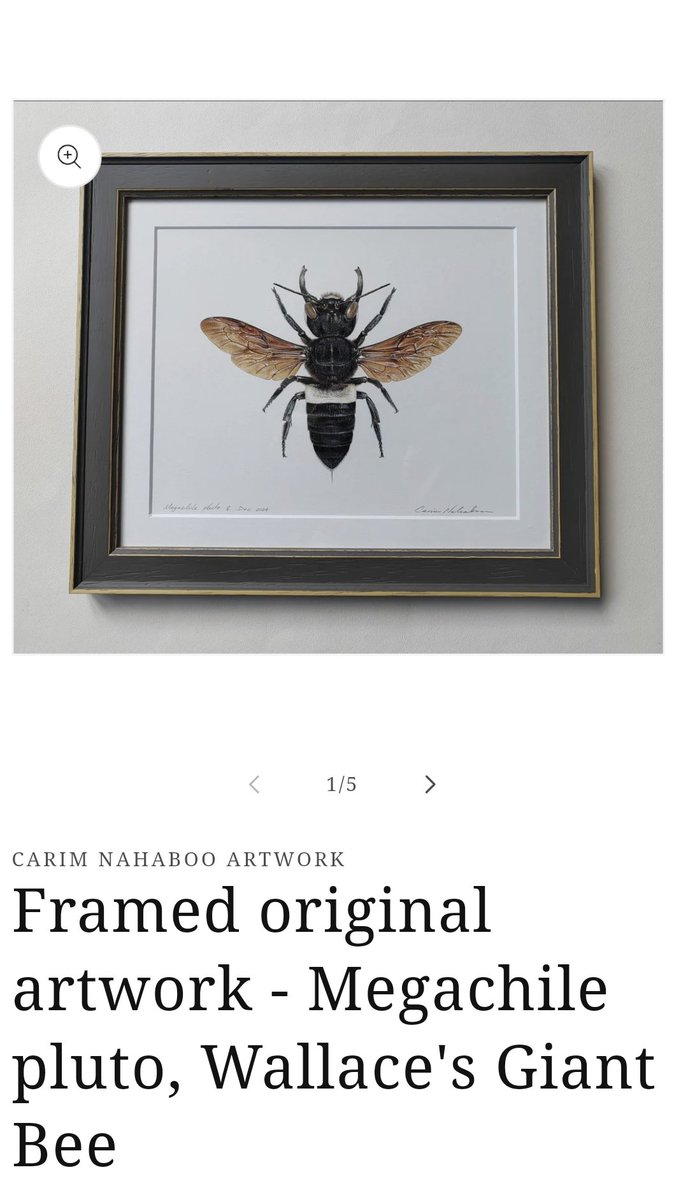 carimnahaboo.com/products/frame…