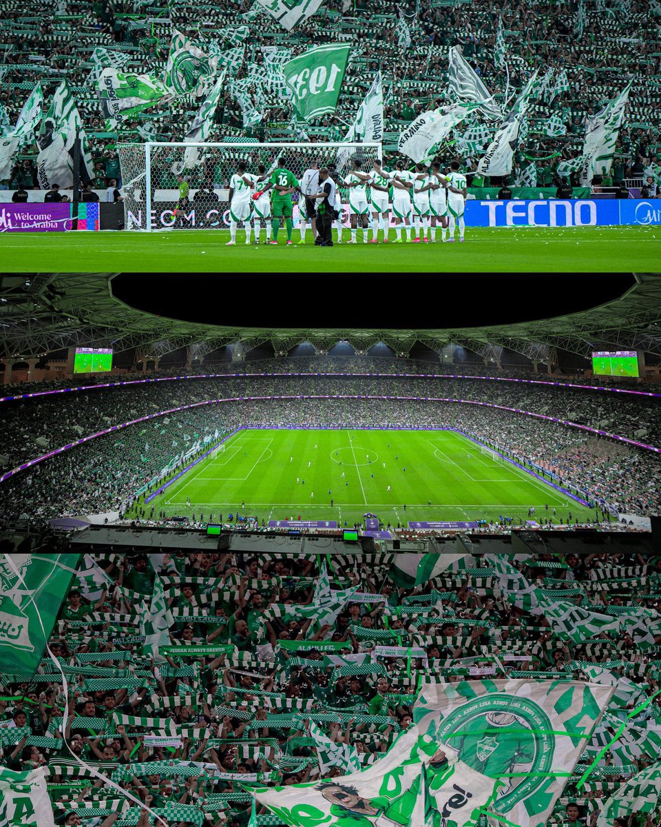 م.لوثر tweet media