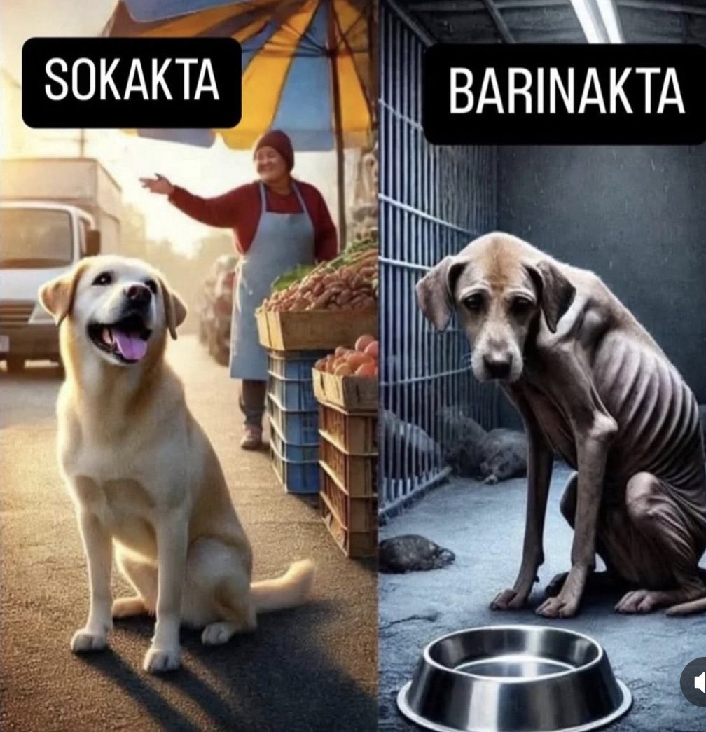 #aymyasayıiptalet
Her gün yeni bir katliam haberine uyanıyoruz. 
Sessiz çığlıkların sesi olun <a href="/AYMBASKANLIGI/">Anayasa Mahkemesi</a>