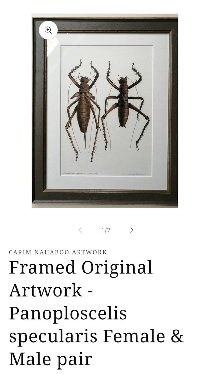 carimnahaboo.com/products/frame…