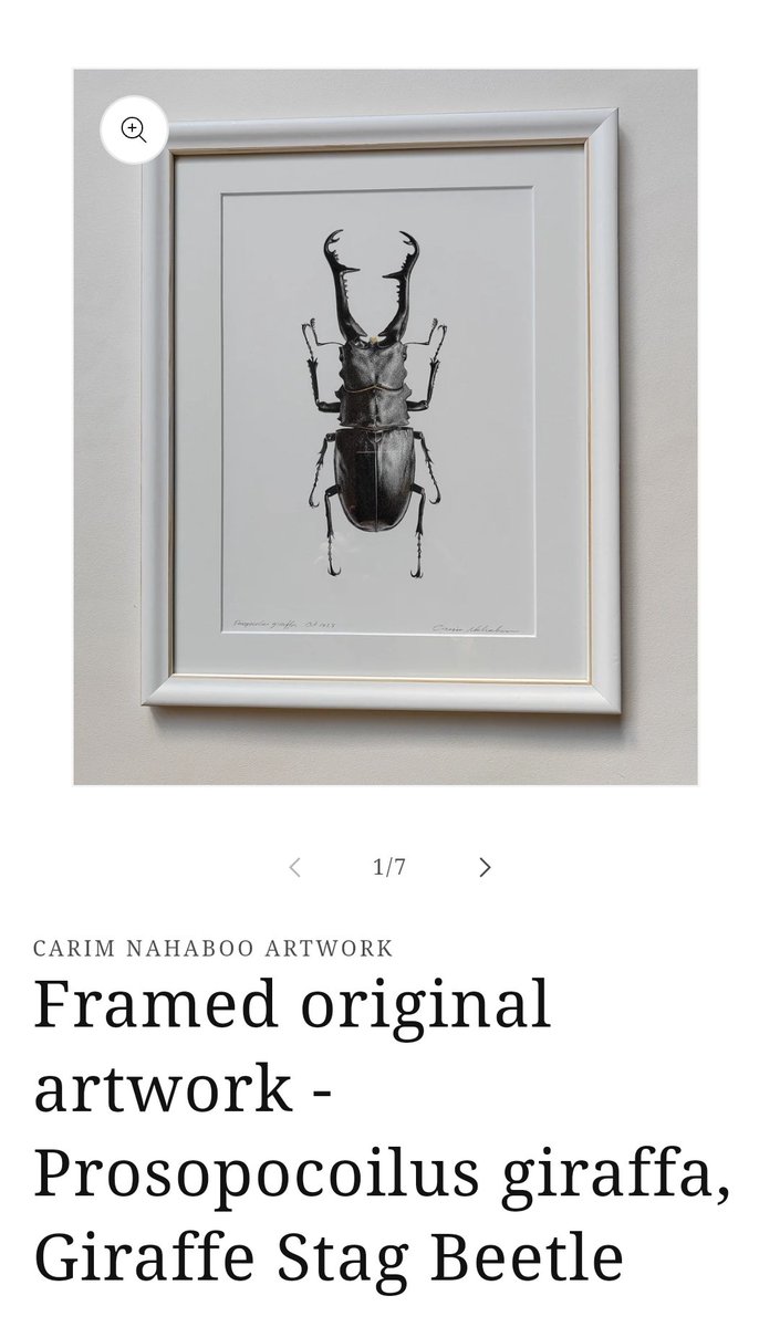 carimnahaboo.com/products/frame…