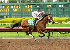 Greg Fox (@gregfoxwesh) on Twitter photo #KentuckyDerby #JournalismMatters
Hey, I don't know much about horse racing, but as a broadcast journalist, I HAVE to bet on the derby favorite today, Journalism, RIGHT? <a href="/WESH/">WESH 2 News</a> #KentuckyDerby #JournalismMatters
Hey, I don't know much about horse racing, but as a broadcast journalist, I HAVE to bet on the derby favorite today, Journalism, RIGHT? <a href="/WESH/">WESH 2 News</a>