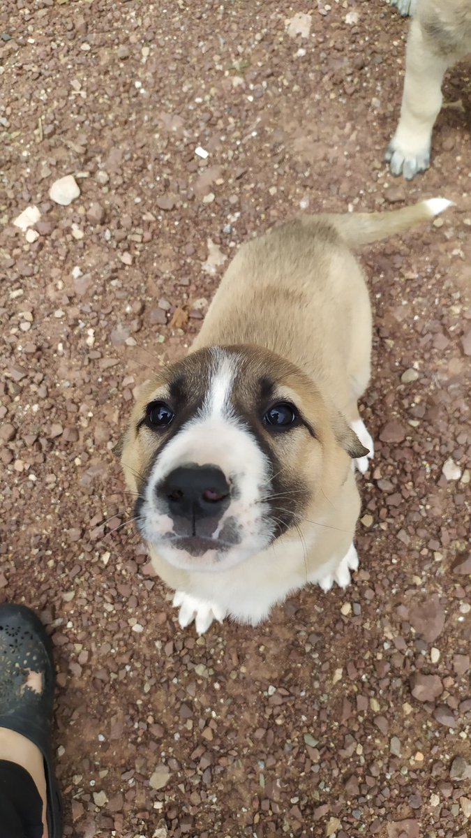 #aymyasayıiptalet
Öldürmenin yasası değil 
Cezası olur 
<a href="/AYMBASKANLIGI/">Anayasa Mahkemesi</a>