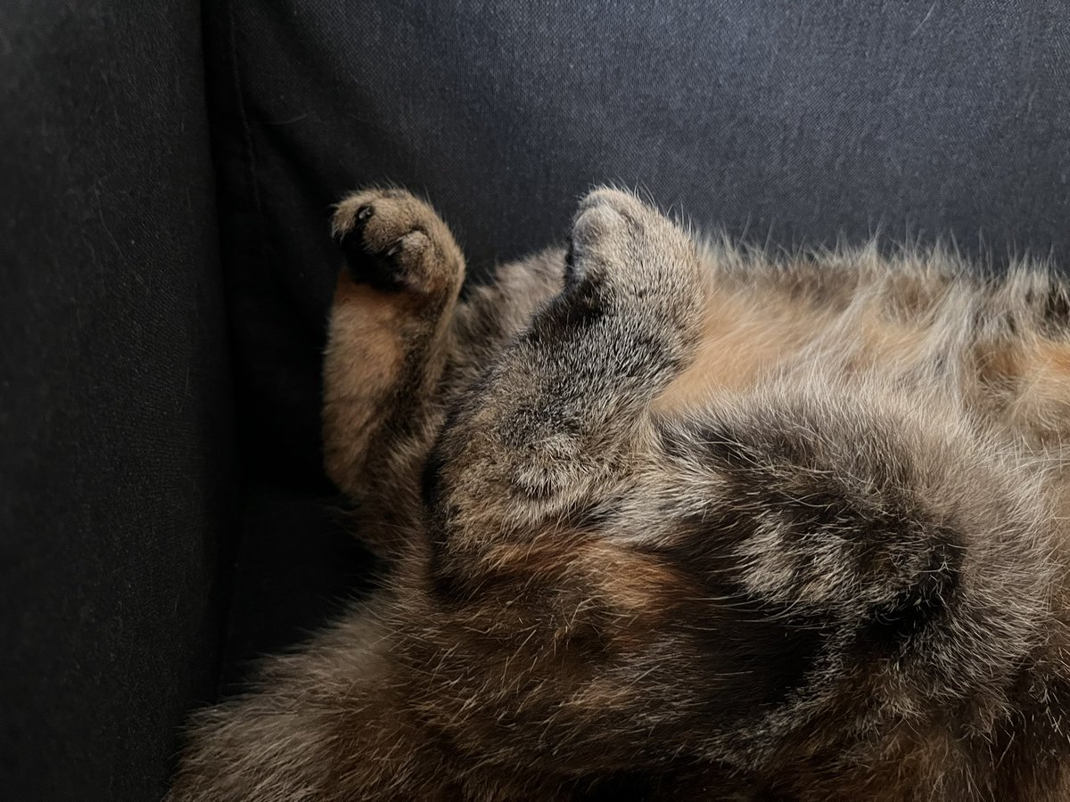 Друзья! Как ваши дела?