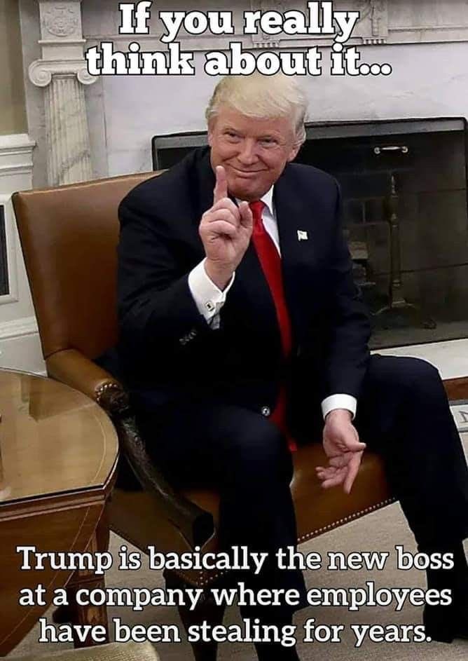 True or False