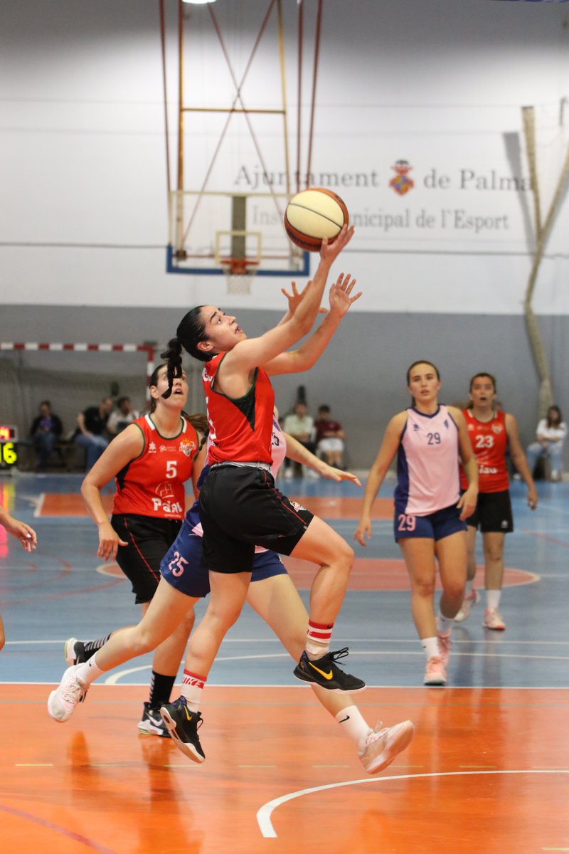 alcazar_cd's tweet photo. 𝗧𝗥𝗢𝗙𝗘𝗨 𝗛𝗘𝗥𝗠𝗔𝗡𝗔𝗦 𝗥𝗨𝗟𝗟Á𝗡 🏆
FINAL 3º CUARTO
ALCÚDIA 33 📷 42 SF @Inmopalau
📷 @prestibefoto
#CDAlc #CDAlcazar #basket #FBIB #FEB https://t.co/HEHGa0arNe