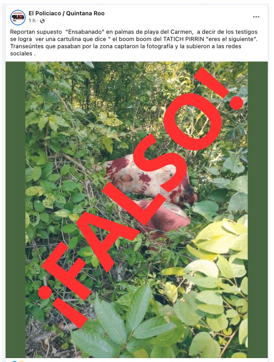 #PlayadelCarmen
Falsa noticia sobre supuesto hallazgo en Palmas 

La Secretaría de Seguridad Ciudadana de Playa del Carmen informa que es completamente falsa la información que circula en redes sociales sobre el hallazgo de una persona ensabanada con un mensaje en el