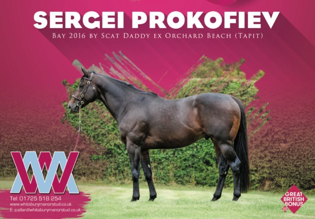 Whitsbury Manor Stud (@whitsburymanor) on Twitter photo 🏆 Winner for SERGEI PROKOFIEV 🏆
TRUST SERGEI backs up his recent win as he gets his head in front again <a href="/DoncasterRaces/">Doncaster Racecourse</a> for connections.
Congratulations to connections and breeders Mr & Mrs Matheson & Mr S Goodwin 👏
#Leading1stCropSire #Leading2ndCropSire 🏆 Winner for SERGEI PROKOFIEV 🏆
TRUST SERGEI backs up his recent win as he gets his head in front again <a href="/DoncasterRaces/">Doncaster Racecourse</a> for connections.
Congratulations to connections and breeders Mr & Mrs Matheson & Mr S Goodwin 👏
#Leading1stCropSire #Leading2ndCropSire