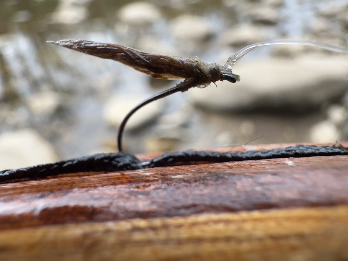 April's most successful fly pattern was, probably, this F-fly.  Just shows you don't need complicated patterns.  This famous dry fly is just 2 CDC (cul de canard) feathers tied to a bare hook shank.  They're not even dyed, but natural dun colour.  Here exposed in all its