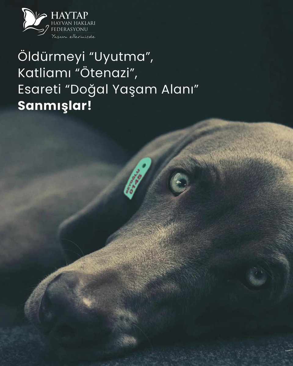 Anayasa Mahkemesi’ni, hayvan haklarını yok sayan bu yasanın iptali için göreve çağırıyoruz.
 #aymyasayıiptalet  <a href="/AYMBASKANLIGI/">Anayasa Mahkemesi</a>