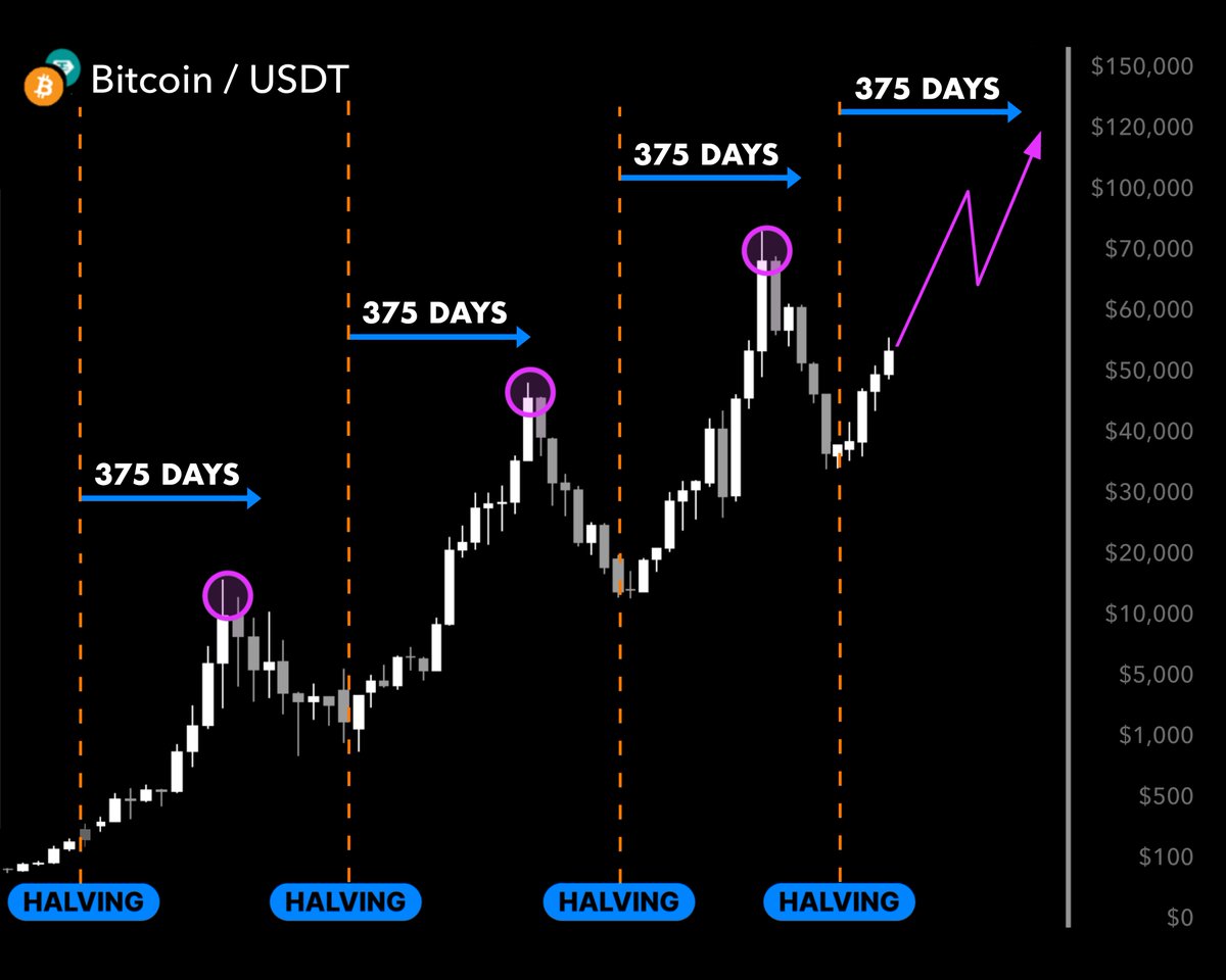 A historical ALTSEASON will start in MAY.

Since 2013, alts always go wild ~375 days post-$BTC halving 

In 2021, $100 turned into $30K in a month off this move 

Here’s 9 alts I’m betting will 100x in 2025 👇🧵