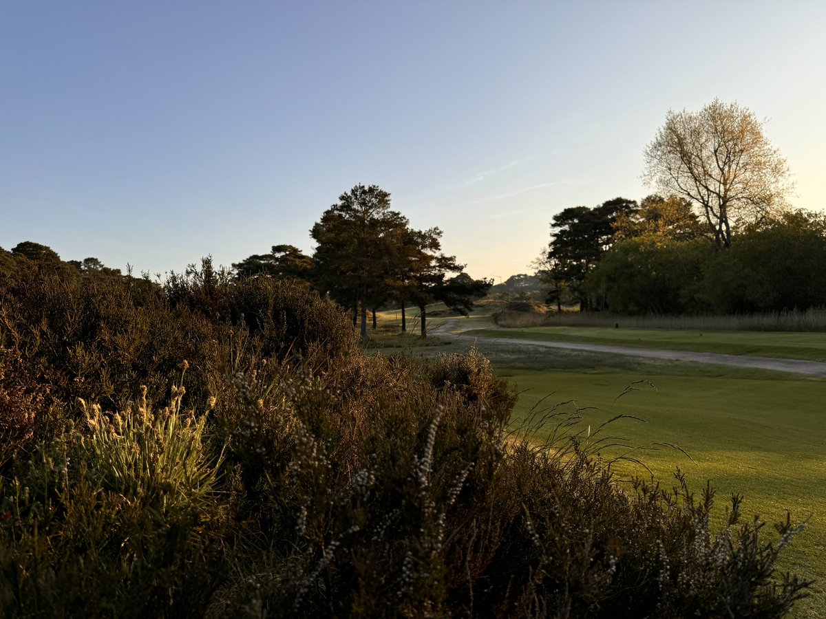 Great Start to my new job. Looking forward to the future⛳️