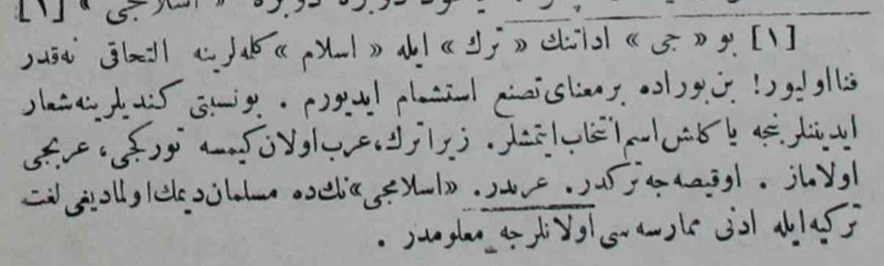 bu “cı” edātınıŋ “türk” ile “islām” kelimelerine iltihākı ne kadar fenā oluyor! ben burada bir maʿnāy-ı tasannuʿ istişmām ėdiyorum. bu nisbeti kendilerine şiʿār ėdinenler bence yaŋlış isim intihāb ėtmişler.