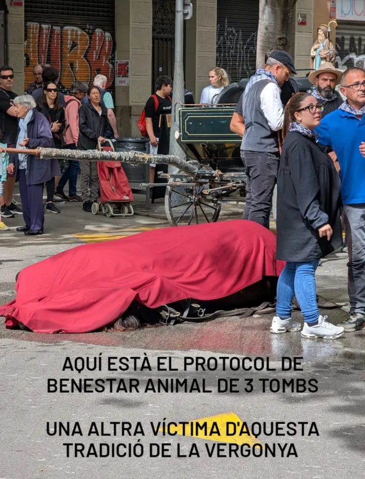 Una festividad donde se explotan animales hasta su muerte. Si tanto os gustan los carros tirad vosotros con las cadenas atadas a vuestros cojones.