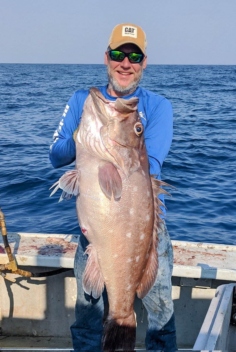FishingStatus tweet picture