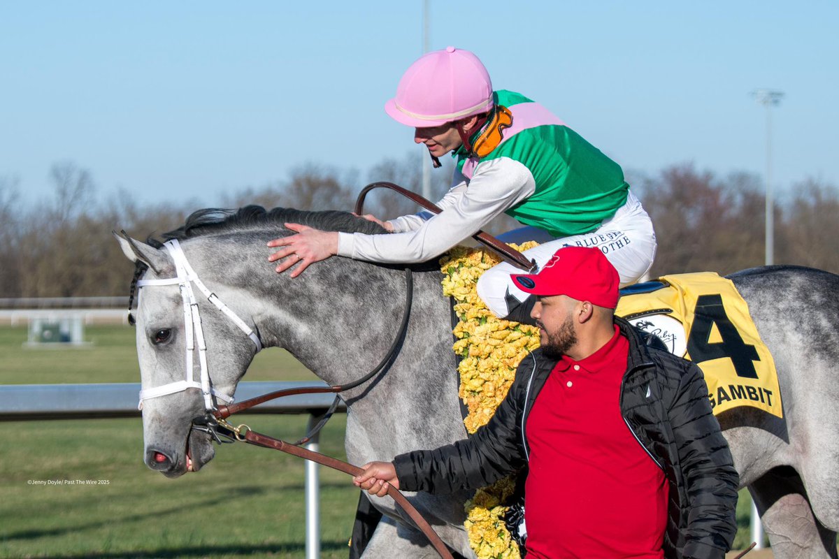 Salvyiuk's tweet image. Good day to be great! #FinalGambit