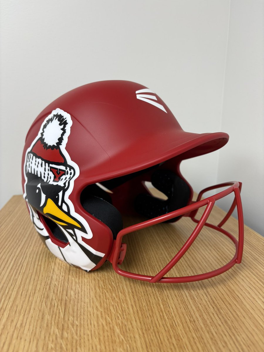 YSUSoftball's tweet image. Another season with @EastonFastpitch ✅ Appreciation post to close out the 2025 campaign